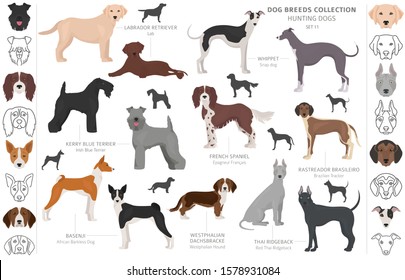 Hunting dogs collection isolated on white clipart. Flat style. Different color, portraits and silhouettes. Vector illustration