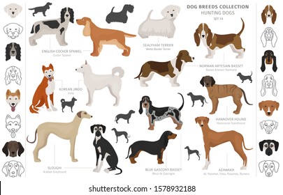 Hunting dogs collection isolated on white clipart. Flat style. Different color, portraits and silhouettes. Vector illustration