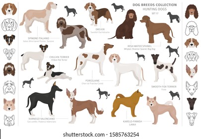 Hunting dogs collection isolated on white clipart. Flat style. Different color, portraits and silhouettes. Vector illustration