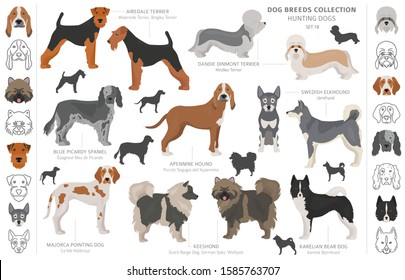 Dogs Breed Set Isolated On White Stock Vector (Royalty Free) 467137910