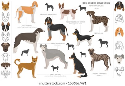 Hunting dogs collection isolated on white clipart. Flat style. Different color, portraits and silhouettes. Vector illustration