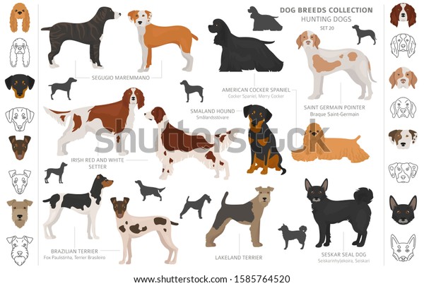 54 Irish Setter Head Outline Images, Stock Photos & Vectors | Shutterstock