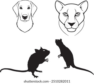 Hunting dogs and rat collection isolated on white. Flat style. Different color and country of origin. Vector illustration