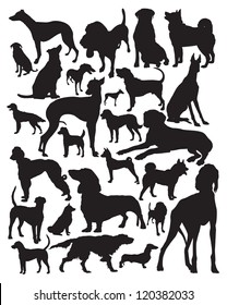 Hunting dogs silhouette