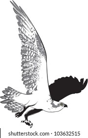 Hunting Eagle