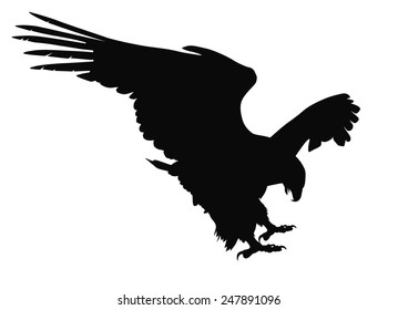Hunting eagle detailed vector silhouette