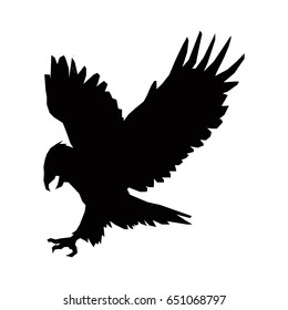 hunting eagle silhouette, bird animal feather vector illustration