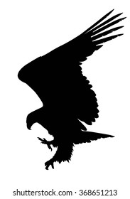 Hunting eagle  vector silhouette