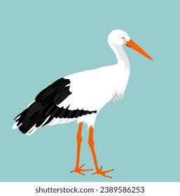 Hunting elegant stork vector illustration isolated on background. Visitant migration bird stork finding food in water. Water echo system.
