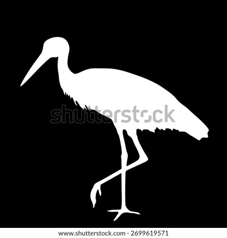 Hunting elegant stork vector silhouette illustration isolated on background. Visitant migration bird animal stork finding food in water. Water echo system. Shape stork shadow.