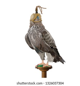 A hunting falcon wearing a hood cover over its head. Vector illustration isolated on the white background.