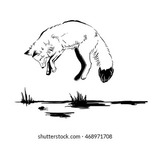 Hunting fox