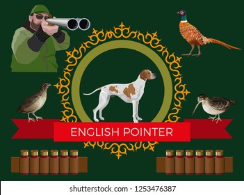 Hunting gun dog. Set of vector illustration with English pointer, hunter and game-bird: pheasant, quail and woodcock on dark background