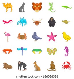 Hunting icons set. Cartoon set of 25 hunting vector icons for web isolated on white background