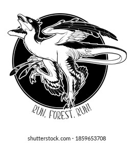 Hunting microraptor. Black linear hand drawing isolated on a white background. Coloring Book page. EPS10 Vector illustration