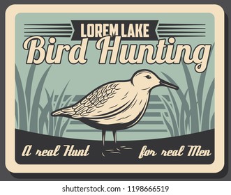 Hunting open season for wild birds, retro poster of hunter society or hunt club. Vector forest Eurasian woodcock, bird hunt adventure