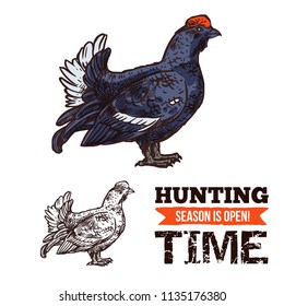 Hunting Season Open Poster With Capercaillie Bird Sketch. Time To Hunt, Turkey Like Grouse And Hunting Period Start. Wild Animal Shooting Sport Promo With Dark Feathered Fat Bird Capercailzie Vector