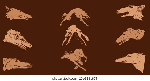 Hunting Sighthound dogs hand-drawn sketches - minimalist ink drawing - Borzoi, hunting sighthound, whippet - linear vector illustrations. Dog breeding business concept. Banner template. Brown color