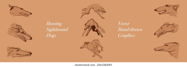 Hunting Sighthound dogs hand-drawn sketches - minimalist ink drawing - Borzoi, hunting sighthound, whippet - linear vector illustrations. Dog breeding business concept. Banner template - brown colors