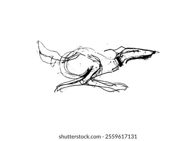 Hunting Sighthound hand-drawn sketches - minimalist ink drawing - Borzoi, hunting sighthound, whippet - linear vector illustrations. Dog breeding business concept.