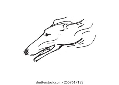 Hunting Sighthound hand-drawn sketches - minimalist ink drawing - Borzoi, hunting sighthound, whippet - linear vector illustrations. Dog breeding business concept.