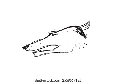 Hunting Sighthound hand-drawn sketches - minimalist ink drawing - Borzoi, hunting sighthound, whippet - linear vector illustrations. Dog breeding business concept.