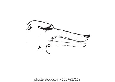 Hunting Sighthound hand-drawn sketches - minimalist ink drawing - Borzoi, hunting sighthound, whippet - linear vector illustrations. Dog breeding business concept.