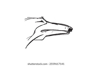 Hunting Sighthound hand-drawn sketches - minimalist ink drawing - Borzoi, hunting sighthound, whippet - linear vector illustrations. Dog breeding business concept.