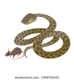 Cazando icono de serpiente vector isométrico. Ratón gris cerca del gran ícono común de la anaconda. Ataque de serpientes, cadena alimenticia