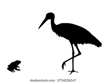 Caza de cigüeña persiguiendo y comiendo rana Vector silueta ilustración aislada sobre fondo blanco. Cigüeña migratoria visitante que apunta a la rana en la caza de presas. Ecosistema de la cadena alimentaria.