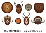 Hunting trophies, wild animal head mount. Lion, wolf and grizzly bear, forest deer, mountain ram and african gazelle with horns, fox, cape buffalo head on different shape wooden boards cartoon vector