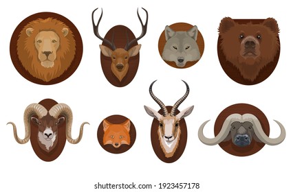 Hunting trophies, wild animal head mount. Lion, wolf and grizzly bear, forest deer, mountain ram and african gazelle with horns, fox, cape buffalo head on different shape wooden boards cartoon vector