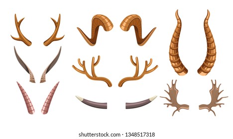 Hunting trophy animal horns goat deer and moose poaching vector isolated branchy and curved antelope or antlers and ram wild mammals head part taxidermy reindeer stag forest and mountain fauna