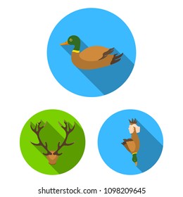 Hunting and trophy flat icons in set collection for design. Hunting and equipment vector symbol stock web illustration.