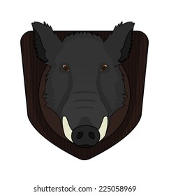 Hunting trophy. Stuffed taxidermy wild boar head with big tusks in wood shield. Color illustration isolated on white 