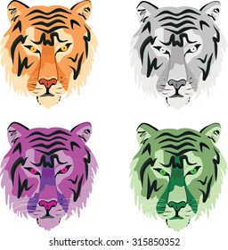 Hunting trophy - the tiger. Colored head.