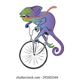 Hurry. Chameleon on a bicycle (unicycle) with tongue