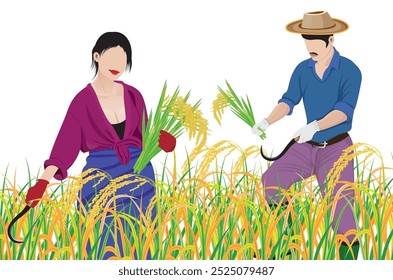 Husband and wife are harvesting rice. vector design