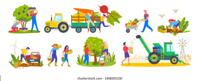 Husbandry and harvest vector, tractor and products, garden farme, carrots and beetroots pumpkin and veggies vegetables farmers working on land gathering apples. Agricultural drone applied to farming