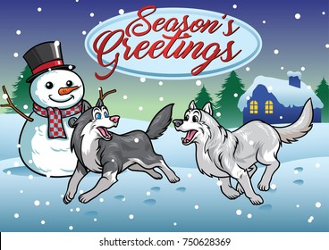 Huskies dog playing in the snow