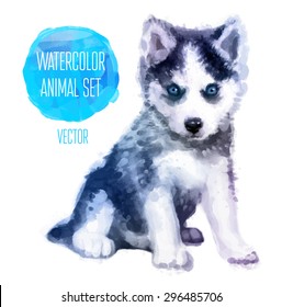  Huskies hand painted watercolor illustration isolated on white background