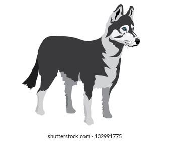 Husky