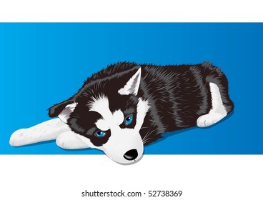 Husky