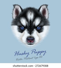 Husky animal dog cute face. Vector Alaskan puppy head portrait. Realistic fur portrait of Siberian dog on blue background.