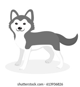 Husky breed dog icon, flat, cartoon style. Cute puppy isolated on white background. Vector illustration, clip-art