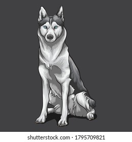 husky concept cartoon vector design