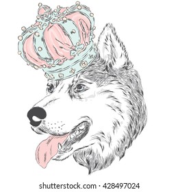 Husky in the crown . Vector illustration. Cute dog.
