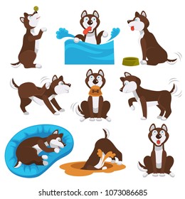 Husky dog cartoon pet playing or training