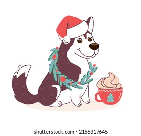 Husky dog ​​in Christmas costume with cappuccino. Vector illustration in a flat style on a white background. Cute puppy with wreath and wearing Santa Claus hat.