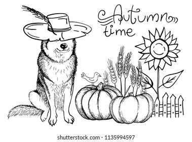 Husky dog in cowboy hat, pumpkin, sunflower, bird, wheat and lettering Autumn time. Vector illustration. Template for a card or poster.